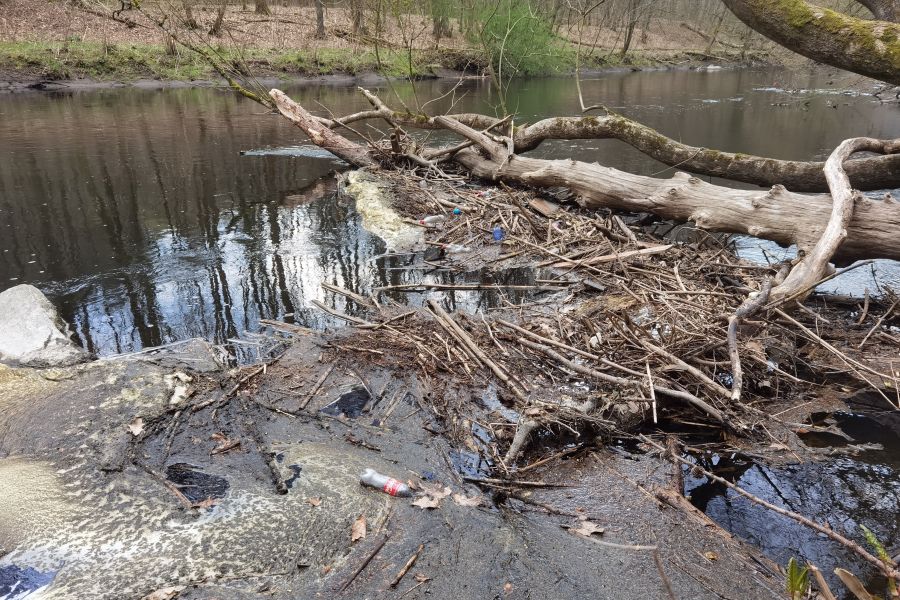 Fluss mit umgestürztem Baum und Müll